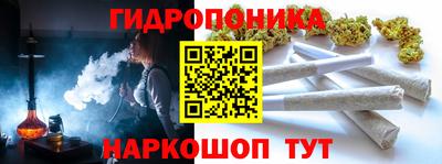 гашик Туймазы