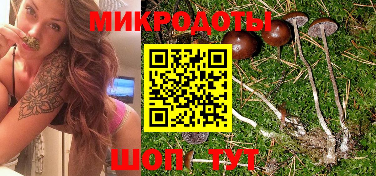 Богородицк  Галлюциногенные грибы Psilocybe  Вход с VPN 